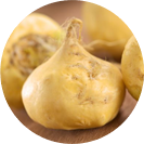 Maca Peruviană
